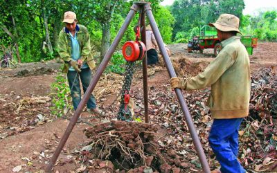Lâm Đồng thành công trong tăng năng suất từ cây cà phê già cỗi
