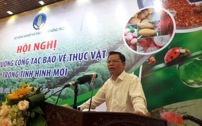 Báo động tình trạng lạm dụng thuốc bảo vệ thực vật và phân bón vô cơ